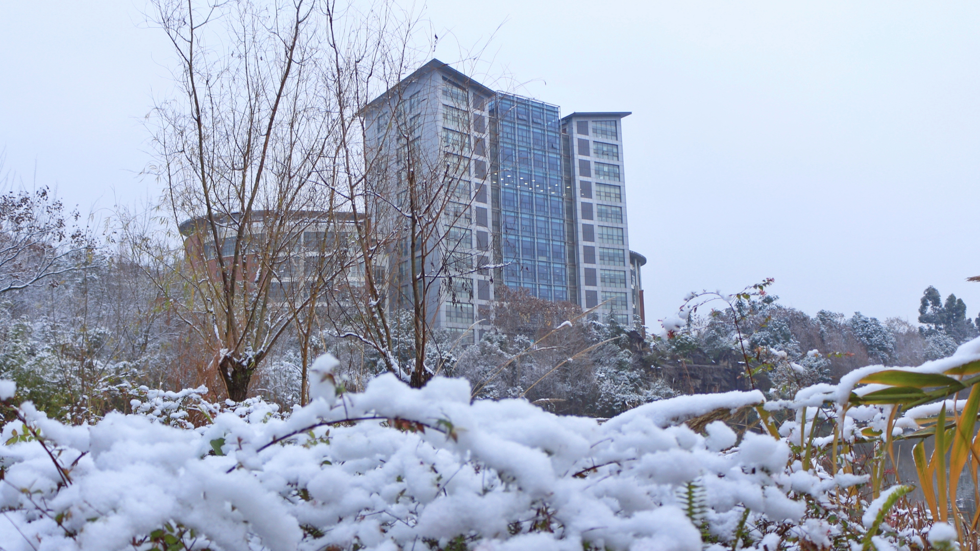 银装素裹的beat365