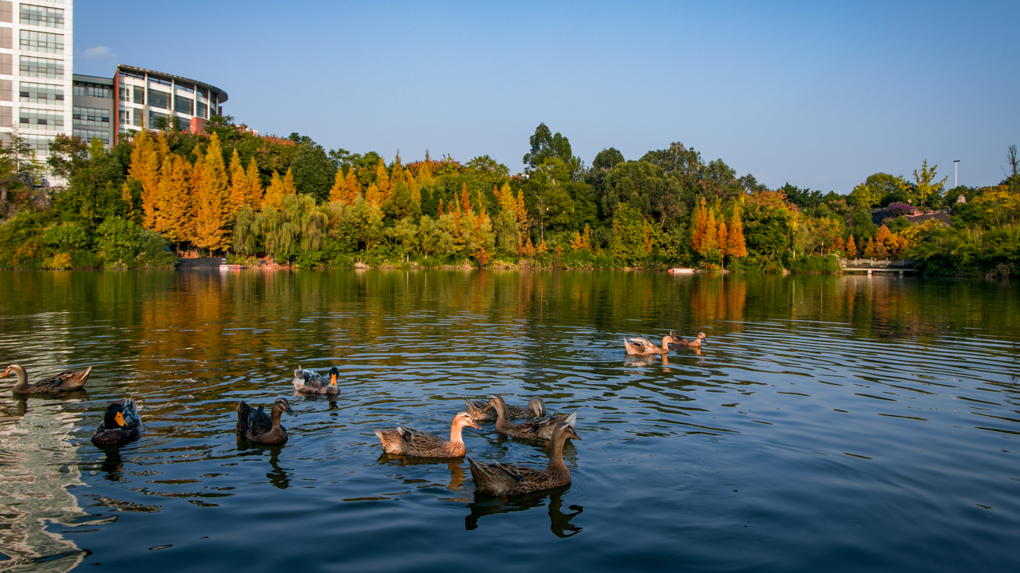 beat365彩林，美翻了！